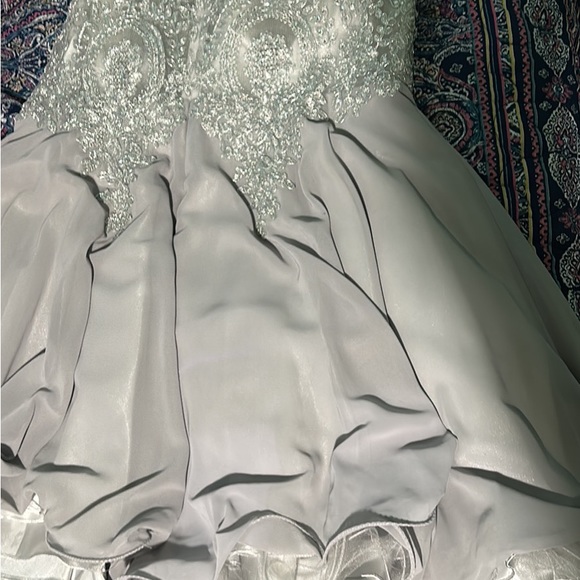 Silver Dama/Quince/Fancy Ball dress - Picture 4 of 10